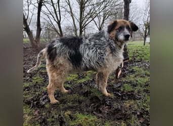 Olga - Augen sind der Spiegel ihrer Seele