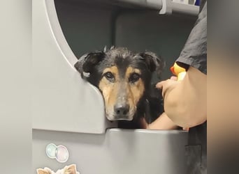 Otto schon eine Ewigkeit hinter Gittern