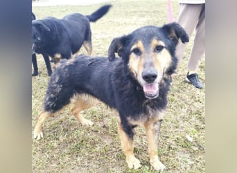 Otto schon eine Ewigkeit hinter Gittern