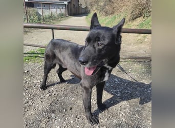 Star möchte nochmal eine Familie