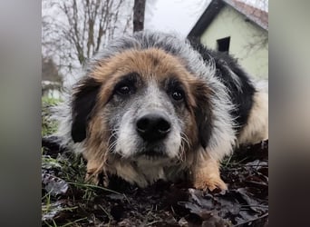 Olga - Augen sind der Spiegel ihrer Seele