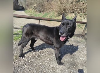 Star möchte nochmal eine Familie