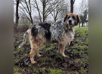 Olga - Augen sind der Spiegel ihrer Seele