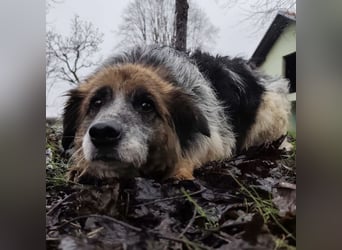 Olga - Augen sind der Spiegel ihrer Seele