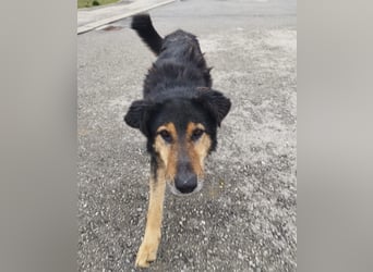 Otto schon eine Ewigkeit hinter Gittern