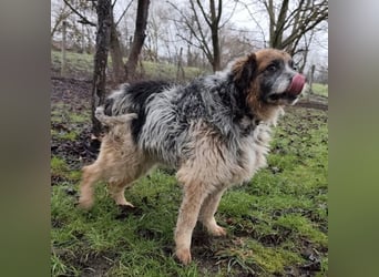 Olga - Augen sind der Spiegel ihrer Seele