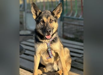 Pasha ein wundervoller Freund fürs Leben