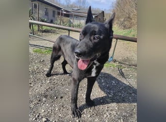 Star möchte nochmal eine Familie