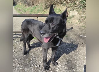 Star möchte nochmal eine Familie