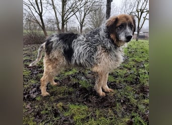 Olga - Augen sind der Spiegel ihrer Seele