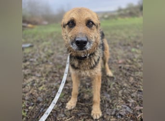 Ghost wartet seit Welpenalter