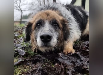 Olga - Augen sind der Spiegel ihrer Seele