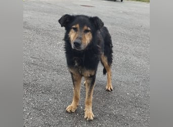 Otto schon eine Ewigkeit hinter Gittern