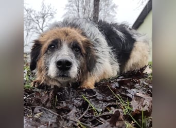 Olga - Augen sind der Spiegel ihrer Seele