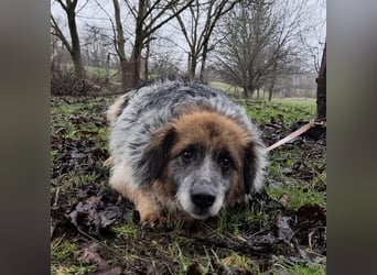 Olga - Augen sind der Spiegel ihrer Seele