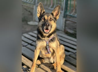 Pasha ein wundervoller Freund fürs Leben