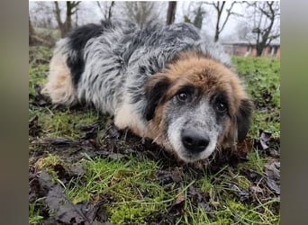 Olga - Augen sind der Spiegel ihrer Seele