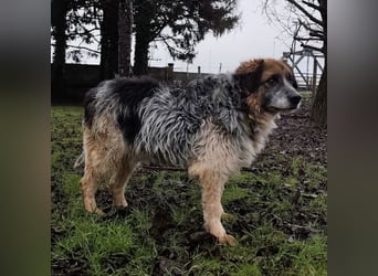 Olga - Augen sind der Spiegel ihrer Seele