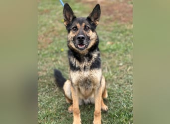 Pasha ein wundervoller Freund fürs Leben