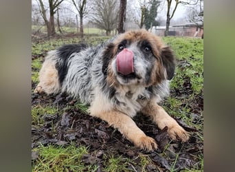 Olga - Augen sind der Spiegel ihrer Seele