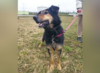 Otto schon eine Ewigkeit hinter Gittern