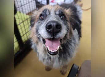 Olga - Augen sind der Spiegel ihrer Seele