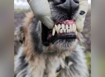 Olga - Augen sind der Spiegel ihrer Seele