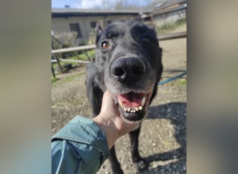 Star möchte nochmal eine Familie