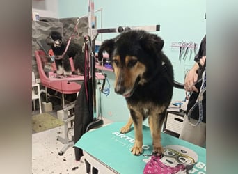 Otto schon eine Ewigkeit hinter Gittern