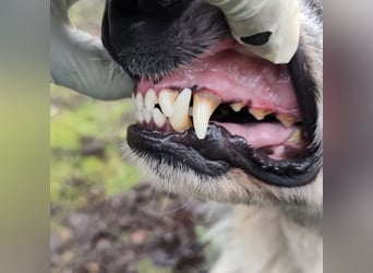 Olga - Augen sind der Spiegel ihrer Seele