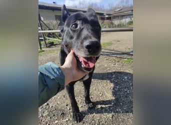 Star möchte nochmal eine Familie