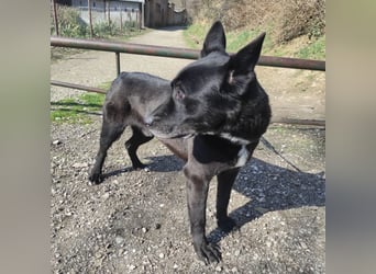 Star möchte nochmal eine Familie