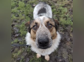 Franky ein Menschenliebender