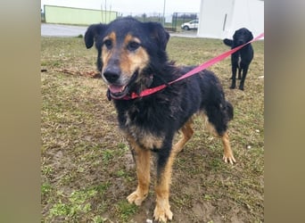 Otto schon eine Ewigkeit hinter Gittern