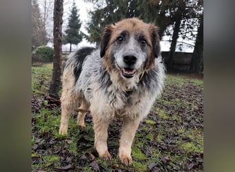 Olga - Augen sind der Spiegel ihrer Seele