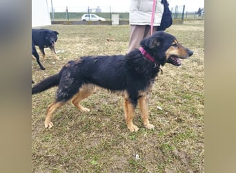 Otto schon eine Ewigkeit hinter Gittern