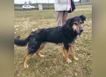 Otto schon eine Ewigkeit hinter Gittern