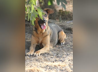 FILOMENA will endlich ankommen