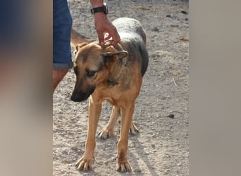 FILOMENA will endlich ankommen