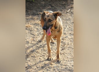 FILOMENA will endlich ankommen
