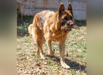 Herzensdame BLANCA wartet auf DICH