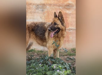 Herzensdame BLANCA wartet auf DICH