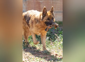 Herzensdamen Blanca wartet auf dich