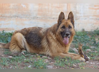 Herzensdamen Blanca wartet auf dich