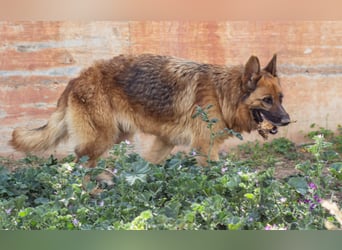 Herzensdamen Blanca wartet auf dich