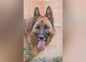 Herzensdame BLANCA wartet auf DICH