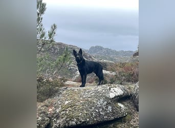 Irie - Vermittlungshilfe - sucht die Nadel im Heuhaufen