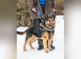 Viking - aktiv, menschenlieb