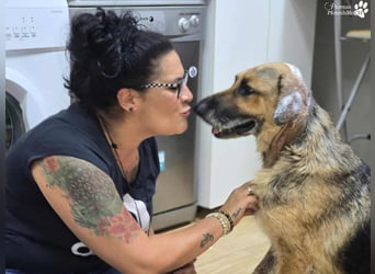 Isa ist eine lebensfrohe Schäferhündin mit einer berührenden Geschichte