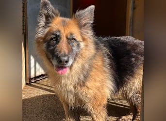 Lucy May - liebevolle Seniorin